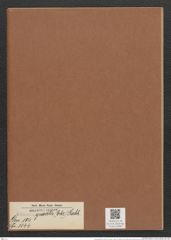 Eunotia gracilis (Ehr.) Rabh. (de-Toni-Nr.: Genus 104, Species 3144) Zeichnungen Sammlung Grunow Mappe 03394 (Herbarium_W_Grunow_drawings_Folder_03394)